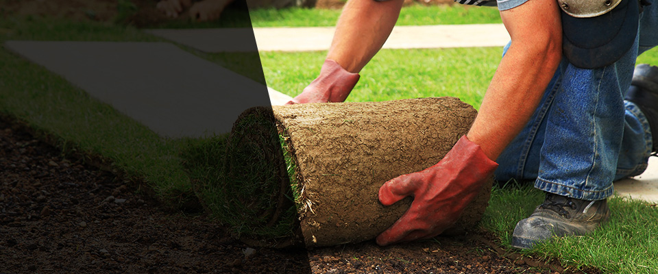 Rockton Landscapers